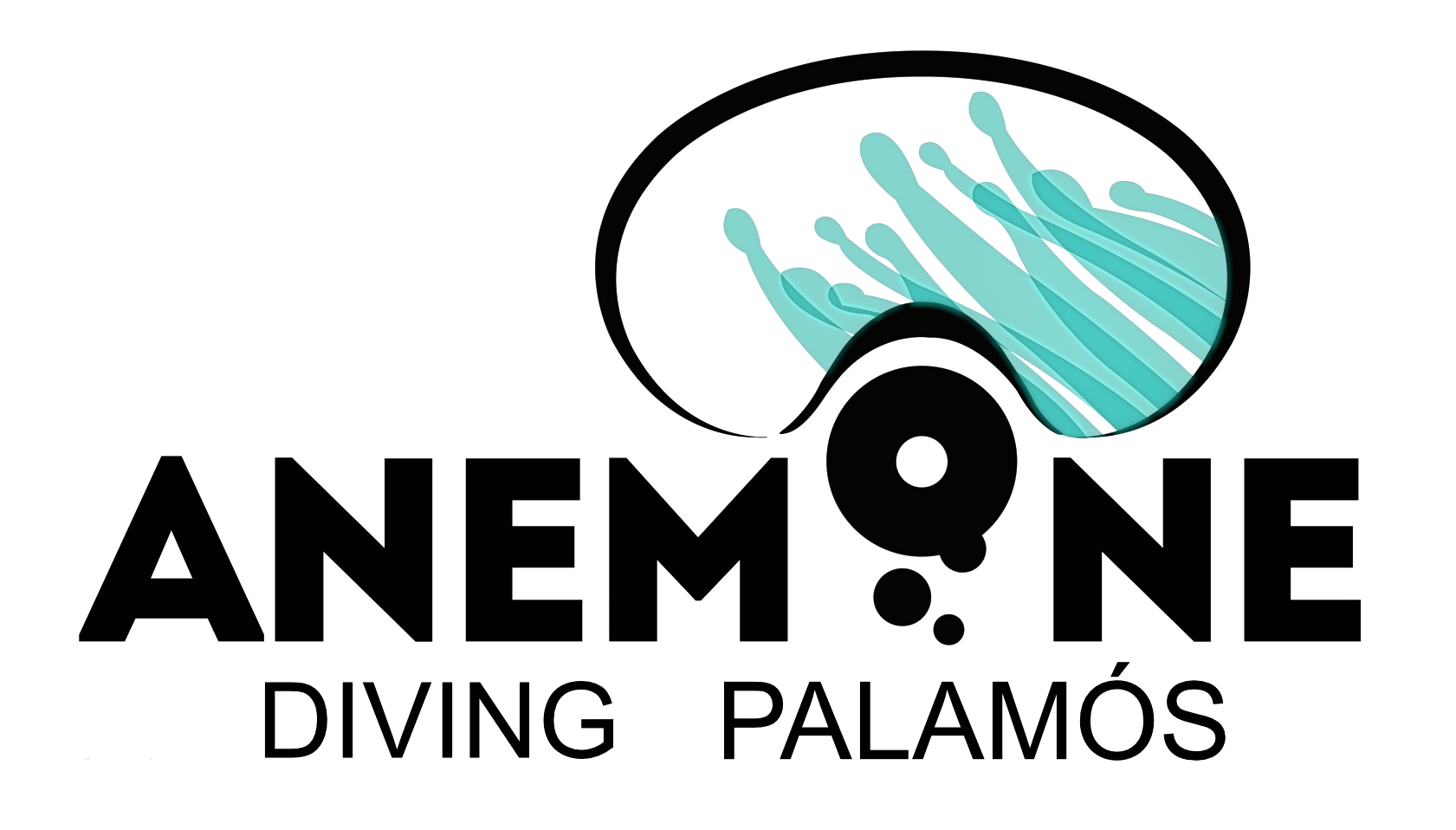 Anemone Diving Center logo