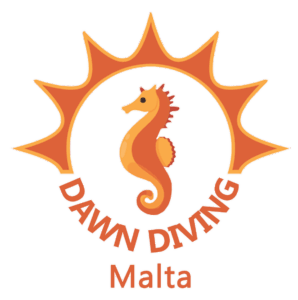Dawn Diving Training Academy logo