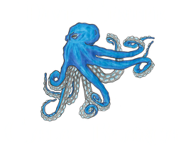 Dive Center Cala Blanca logo