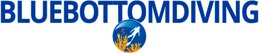 Blue Bottom Diving Tenerife logo