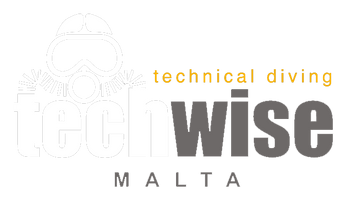 TechWise logo