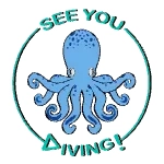 See You Diving Tenerife logo