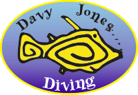 Davy Jones Diving logo