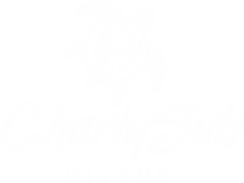 Charly-Sub logo