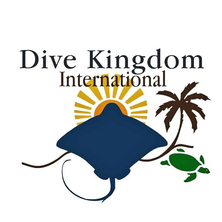 Dive Kingdom Ayada logo