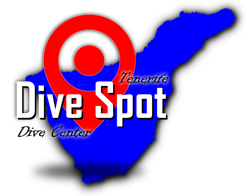 Dive Spot Tenerife logo