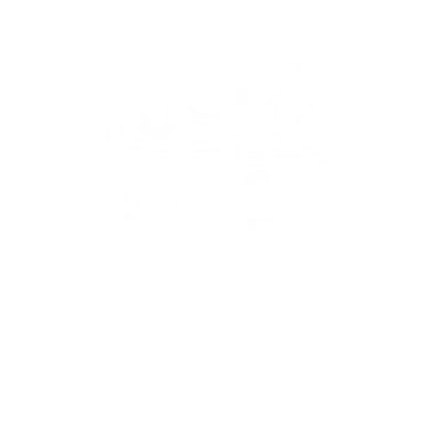 Paradise Divers logo